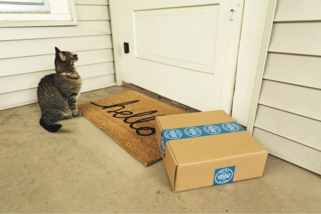 cat and package outside door